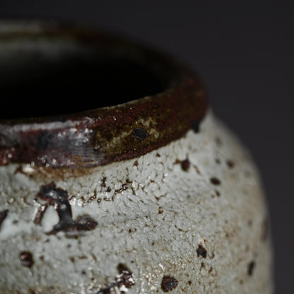 Kairagi Vase ー木村 盛伸 “梅華皮鉄彩 壷”