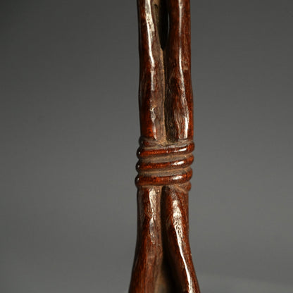 Antique Japanese Wood Carving, Reishi Mushroom Cluster