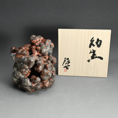 Mysterious Cluster of Life ー今野 陽介 “幼生”