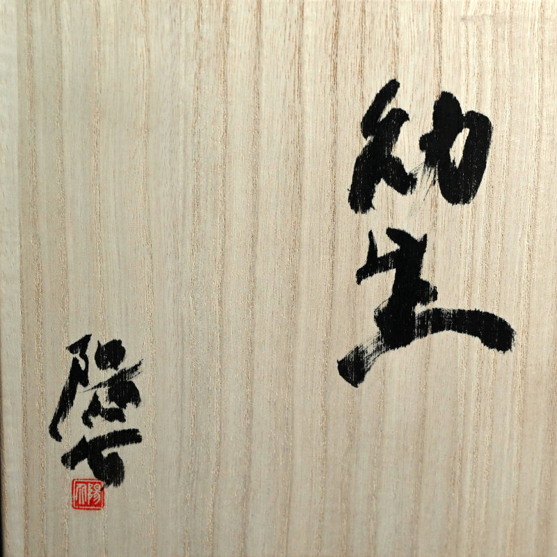 Mysterious Cluster of Life ー今野 陽介 “幼生”
