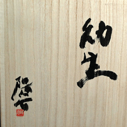 Mysterious Cluster of Life ー今野 陽介 “幼生”
