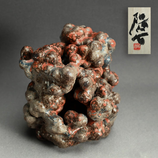 Mysterious Cluster of Life ー今野 陽介 “幼生”