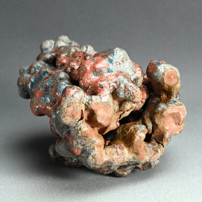 Mysterious Cluster of Life ー今野 陽介 “幼生”