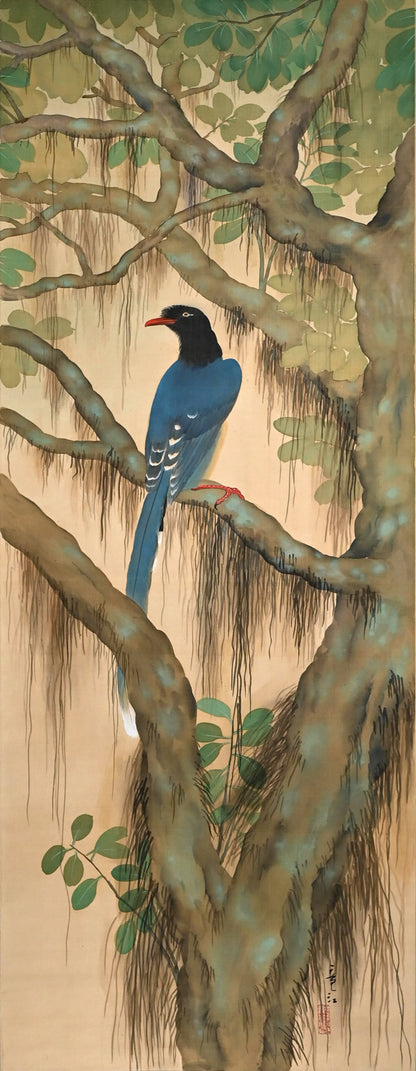 Taisho period Japanese Scroll ー斎藤 竜江 “山ムスメ”