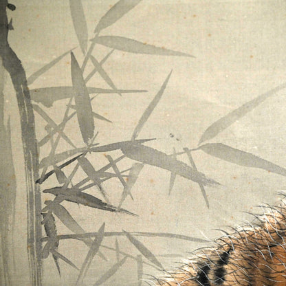 Superb Meiji period Tiger Scroll ー菊池 雲章“虎図”