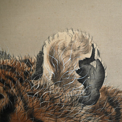 Superb Meiji period Tiger Scroll ー菊池 雲章“虎図”