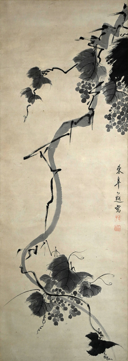 17th c. Grapes by Chinese Obaku Priest ー東皐 心越