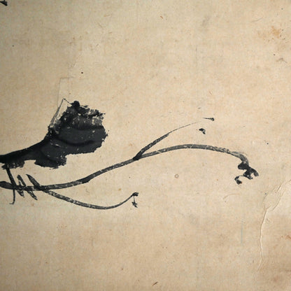 Grapes by Soryu ー草龍, 天龍 道人 “緑珠凝膏圖”