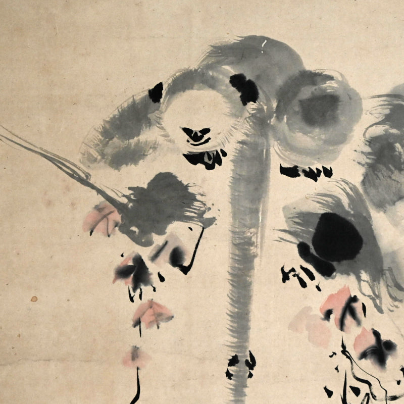 Monkeys Grasping for the Moon ー狩野 探淵
