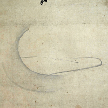 Monkeys Grasping for the Moon ー狩野 探淵