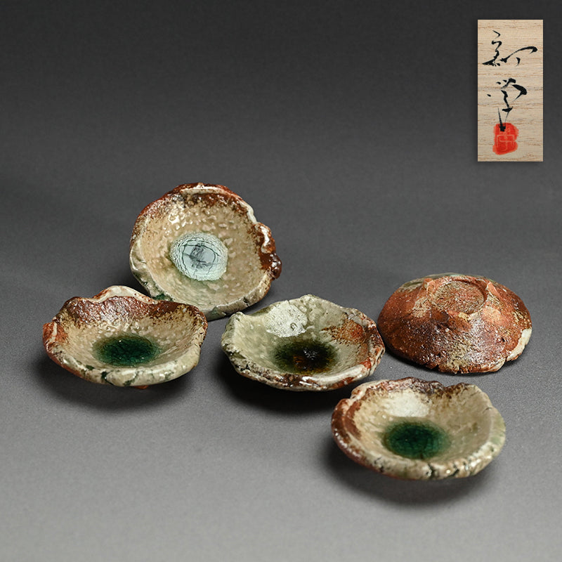 Iga Ash Glazed 5 pc. Plate Set ー新 学 “灰釉 叩き小皿”