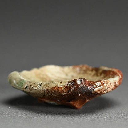 Iga Ash Glazed 5 pc. Plate Set ー新 学 “灰釉 叩き小皿”