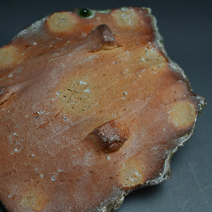 Iga Shinogi Plate ー新 学 “伊賀 鎬皿”