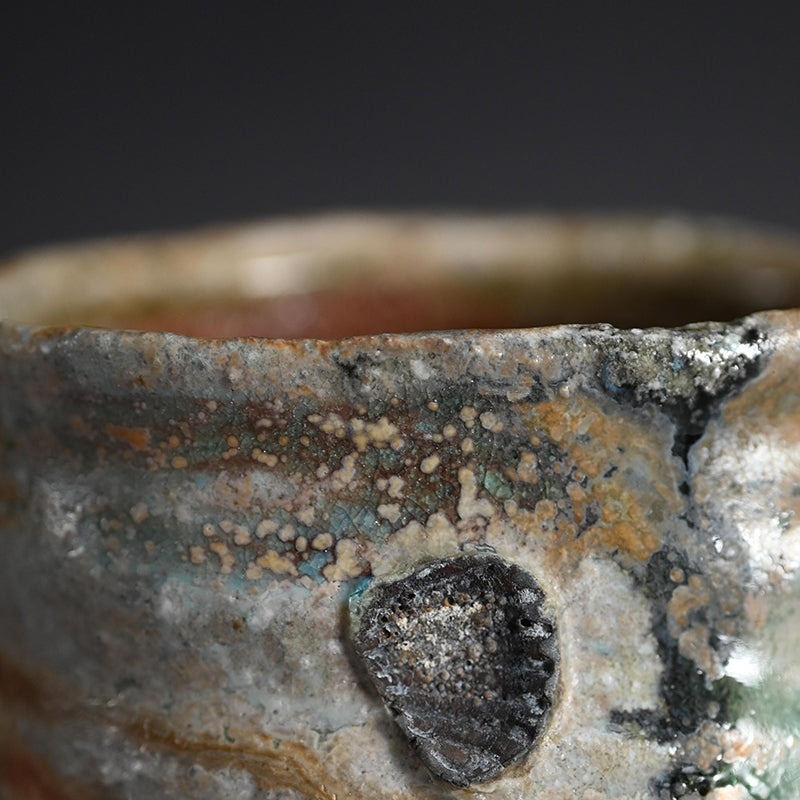 Superb Shigaraki Chawan Tea Bowl ー古谷 和也 “信楽茶盌”
