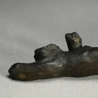 Exquisite Bronze Okimono of a Crested Ibis at Rest