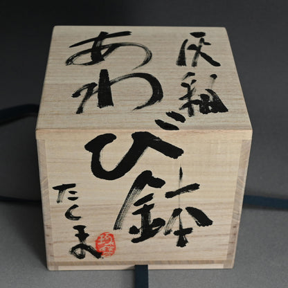 Set of 5 dishes ー村越 琢磨 “灰釉 あわび皿”