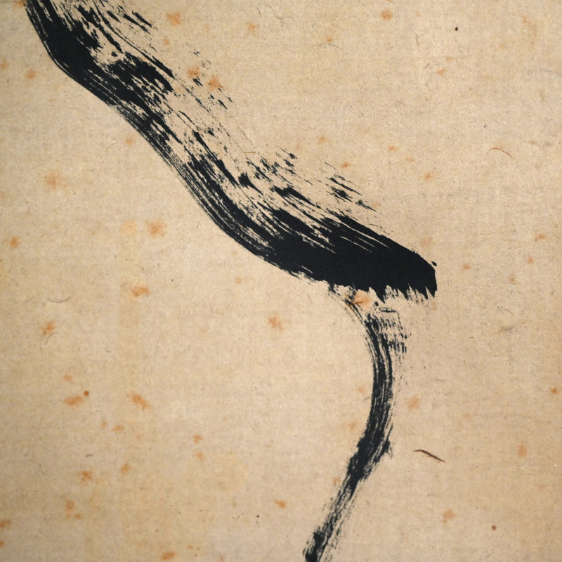 Skull by Important Samurai Artist ー山岡 鉄舟