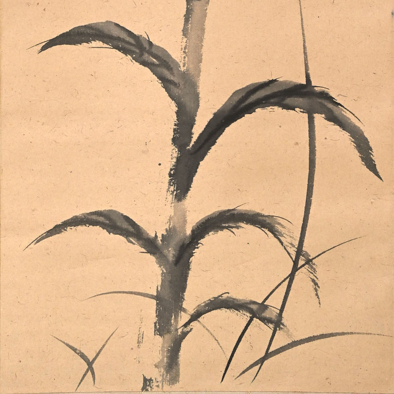 Haritsu Haiku Calligraphy & cockscomb flower 1924 ー福田 古道人, はりつ “鶏頭図”