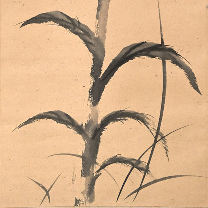 Haritsu Haiku Calligraphy & cockscomb flower 1924 ー福田 古道人, はりつ “鶏頭図”