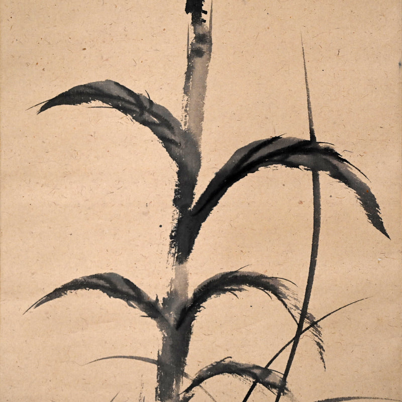 Haritsu Haiku Calligraphy & cockscomb flower 1924 ー福田 古道人, はりつ “鶏頭図”