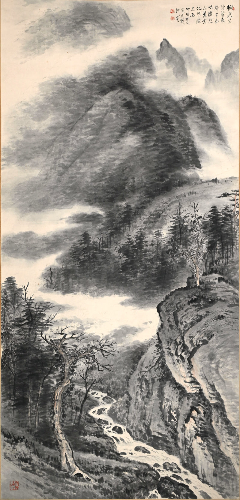 Lush Misty Mountain Landscape ー水田 竹圃