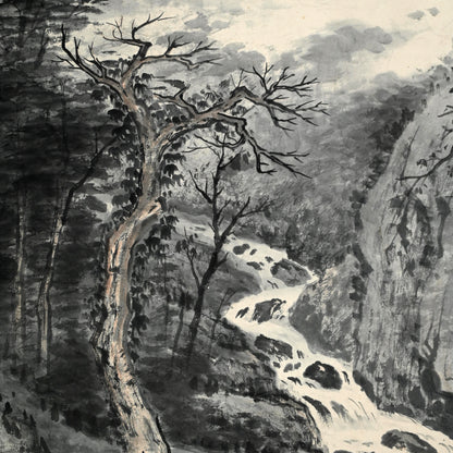 Lush Misty Mountain Landscape ー水田 竹圃