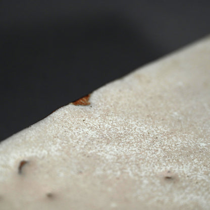 Lavender Hue Hagi Slab Plate ー三輪 栄造 “皿”