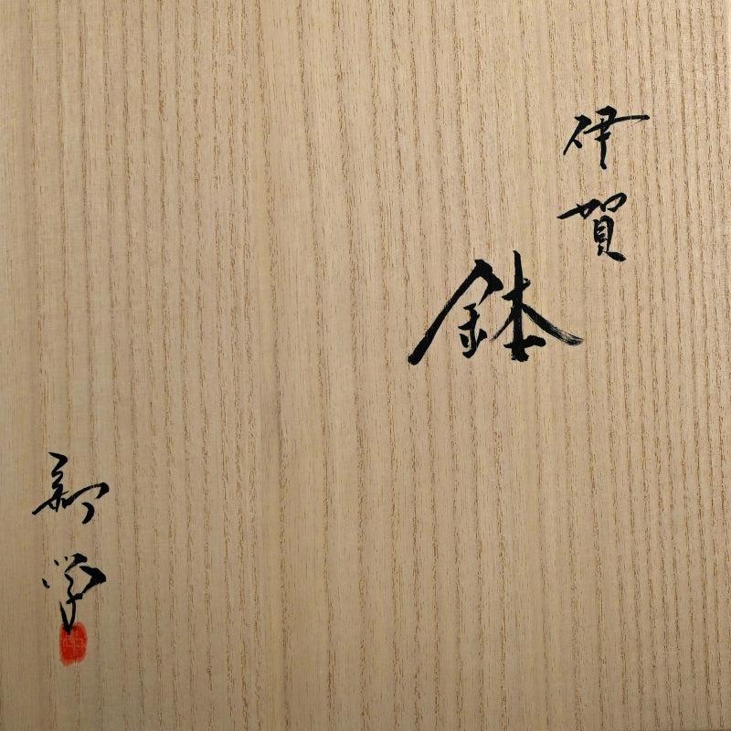 Deep Iga Vessel ー新 学 “伊賀 鉢”