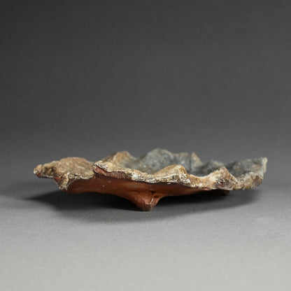 Iga Shinogi Plate ー新 学 “伊賀 鎬皿”
