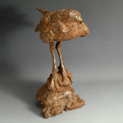 Dry lacquer bird ー番浦 有爾 “乾漆 鳥”