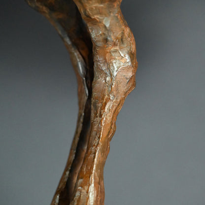 Dry lacquer bird ー番浦 有爾 “乾漆 鳥”