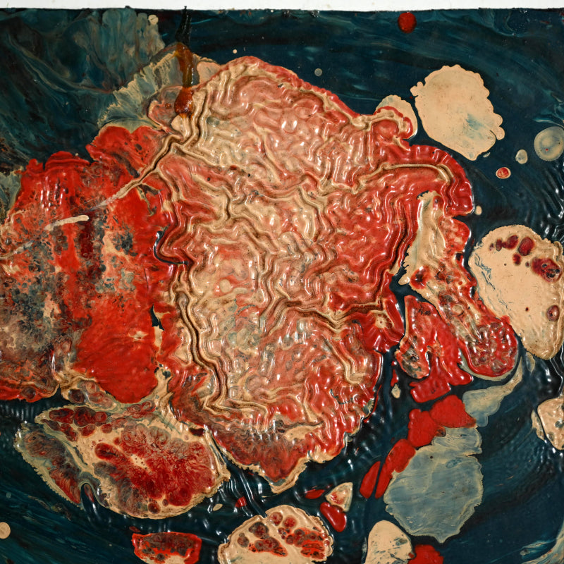 Untitled Cashew Series Work, 1960 ー野村 耕