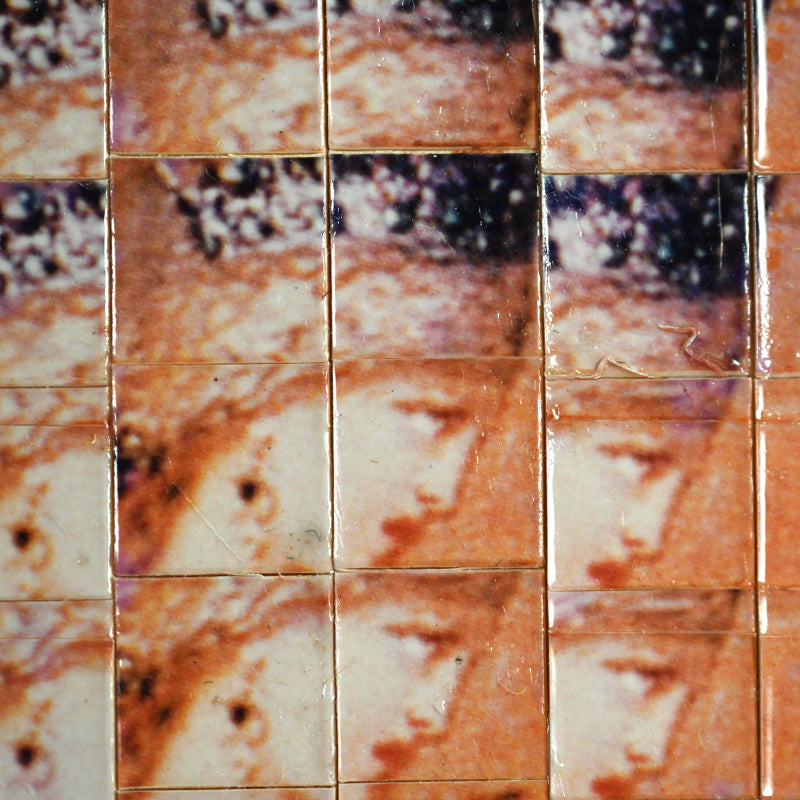 1979 Variation Series Artwork, L'Apparition ー野村 耕 “モローによるサロメ幻想“