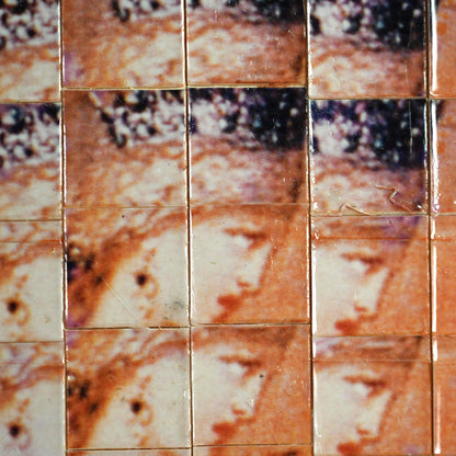 1979 Variation Series Artwork, L'Apparition ー野村 耕 “モローによるサロメ幻想“