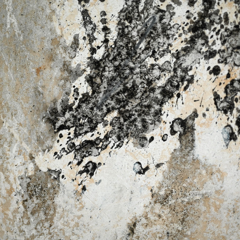 Quintessential 1959 Mixed Media Panel ー大野 淑嵩