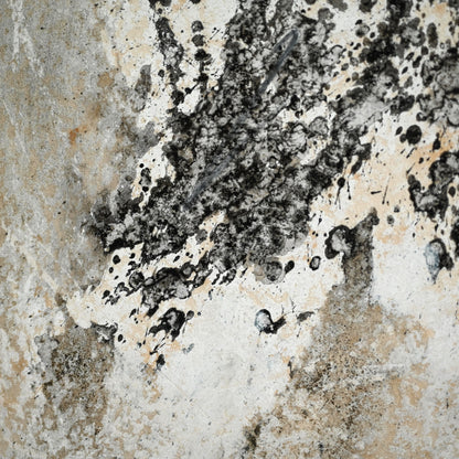 Quintessential 1959 Mixed Media Panel ー大野 淑嵩