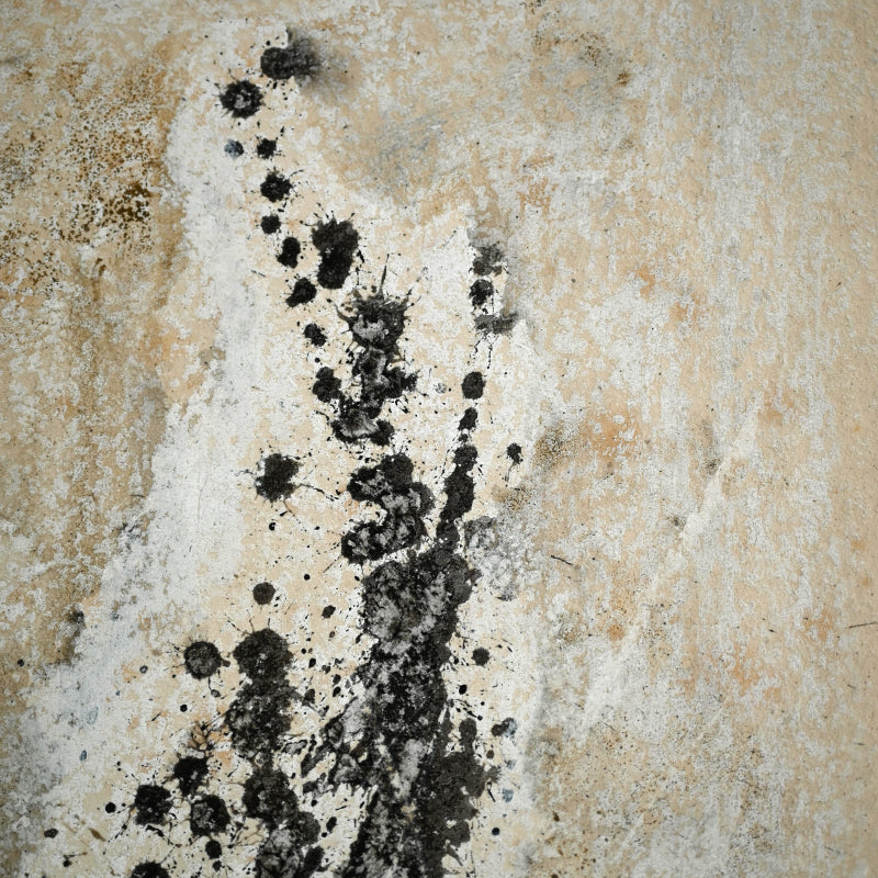 Quintessential 1959 Mixed Media Panel ー大野 淑嵩