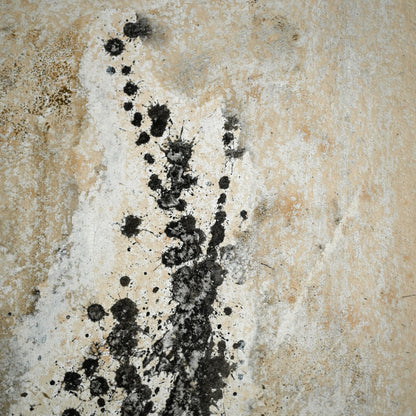 Quintessential 1959 Mixed Media Panel ー大野 淑嵩