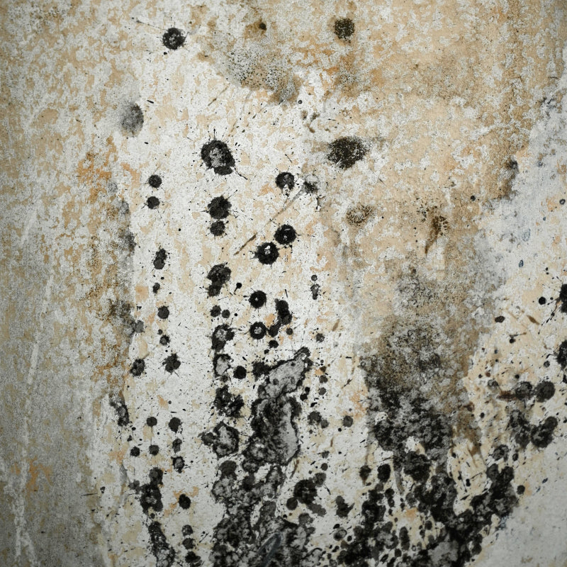 Quintessential 1959 Mixed Media Panel ー大野 淑嵩