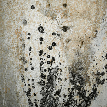 Quintessential 1959 Mixed Media Panel ー大野 淑嵩