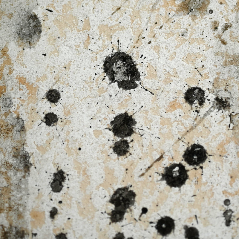 Quintessential 1959 Mixed Media Panel ー大野 淑嵩