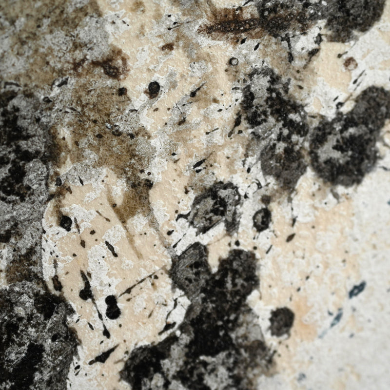 Quintessential 1959 Mixed Media Panel ー大野 淑嵩