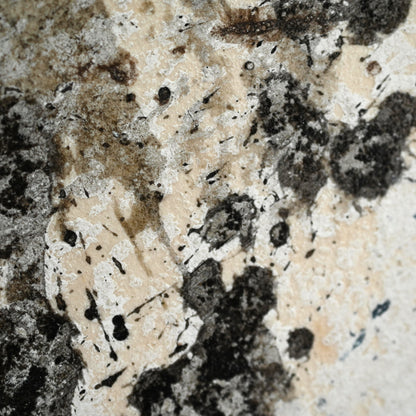 Quintessential 1959 Mixed Media Panel ー大野 淑嵩