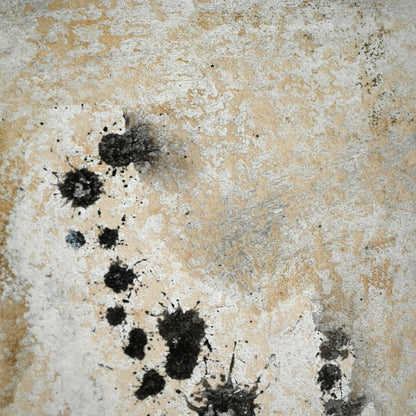 Quintessential 1959 Mixed Media Panel ー大野 淑嵩