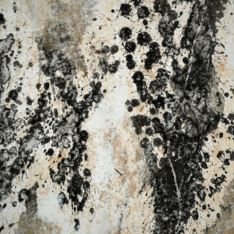 Quintessential 1959 Mixed Media Panel ー大野 淑嵩