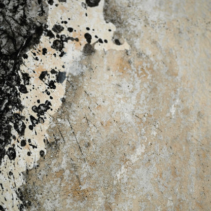 Quintessential 1959 Mixed Media Panel ー大野 淑嵩