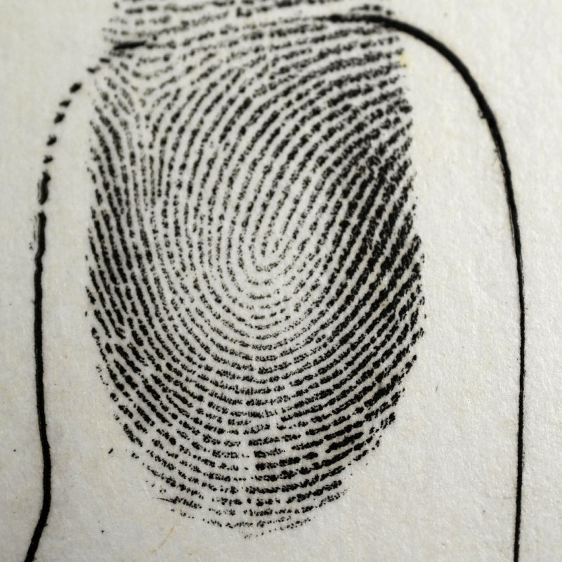 Untitled, 1989 ー星野 真吾