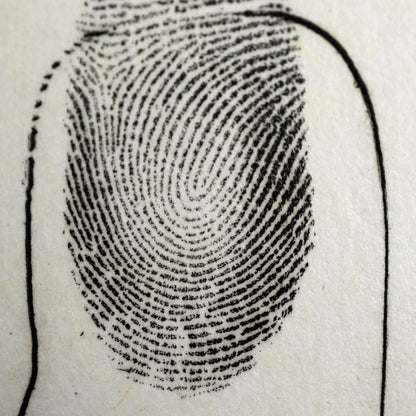 Untitled, 1989 ー星野 真吾