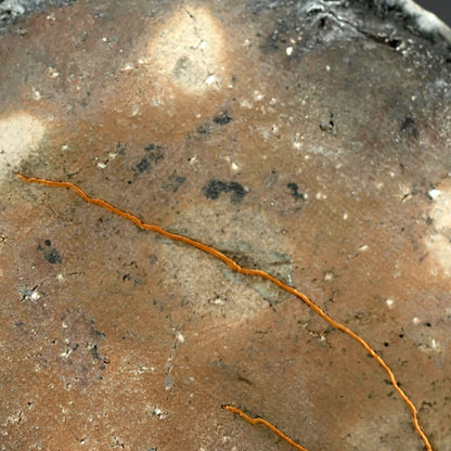 Ash Glazed Twice Fired Kintsugi Plate ー古谷 和也 "信楽窯変円皿"