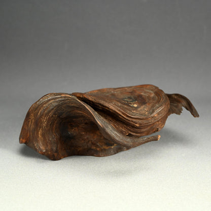 Antique Cloud Shaped Root-wood Scholars Stand